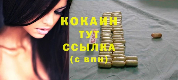 PSILOCYBIN Няндома
