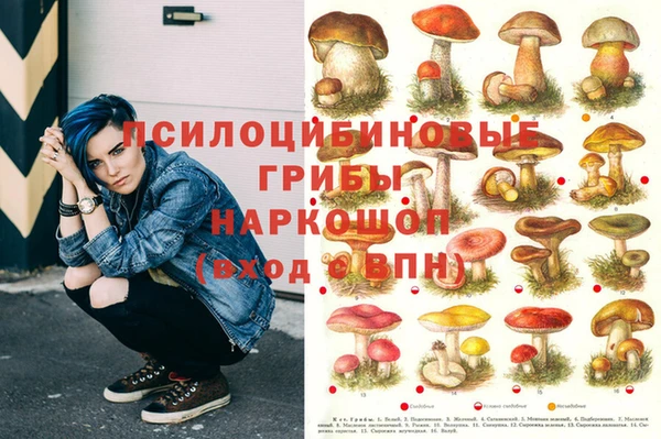 не бодяженный Осташков